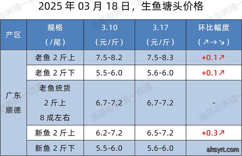 【渔是特约】2025.03.18，加州鲈、生鱼、黄颡鱼、江团塘头价格