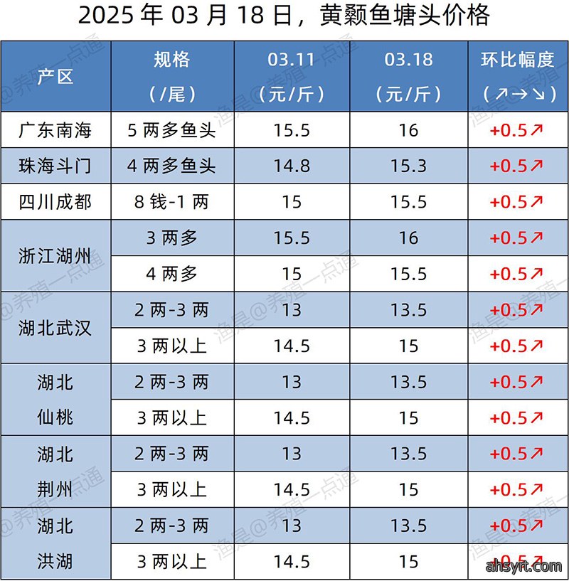 【渔是特约】2025.03.18，加州鲈、生鱼、黄颡鱼、江团塘头价格