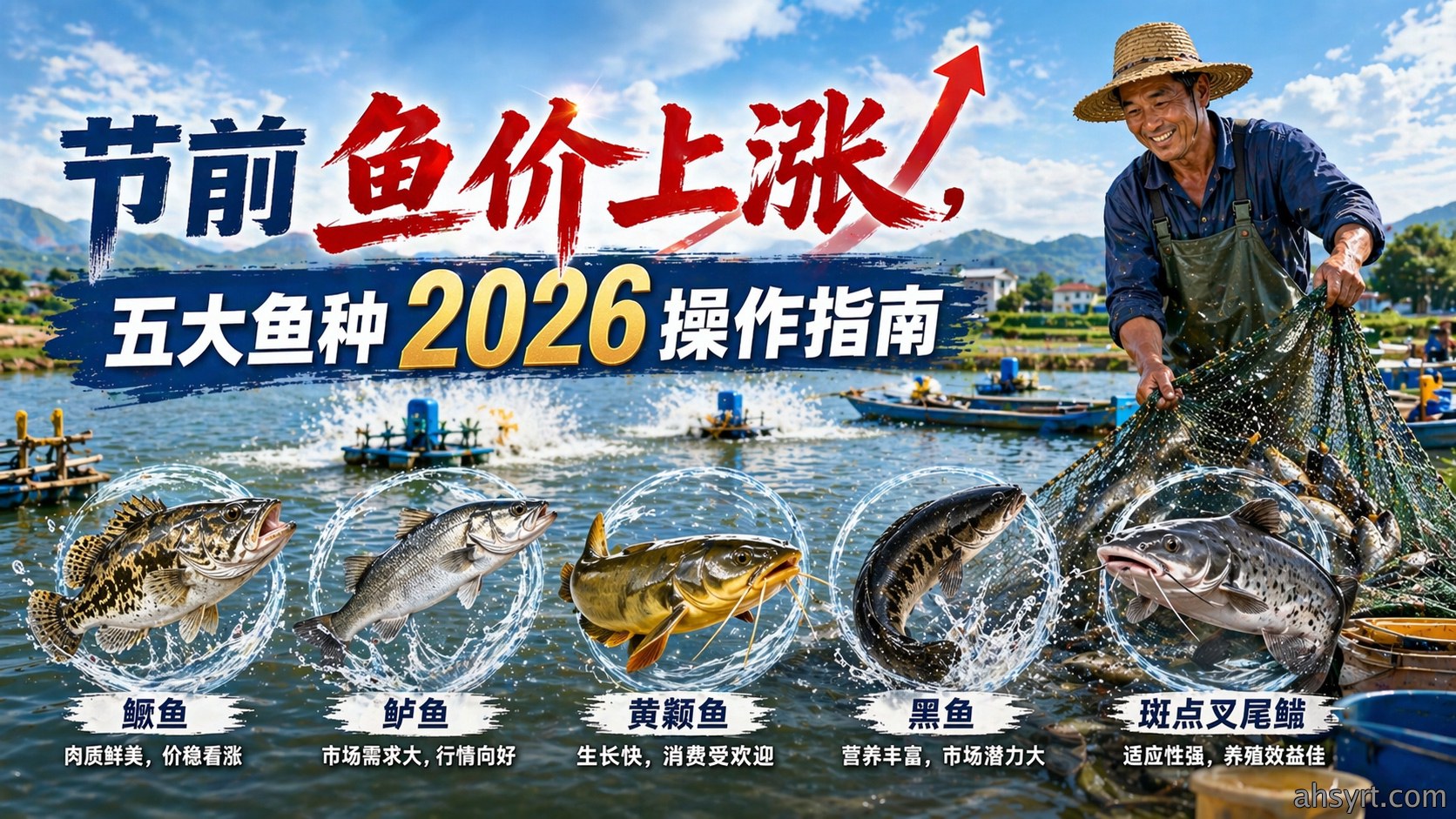 节前鱼价上涨，五大鱼种2026操作指南