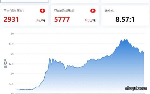 2022.11.17，猪价走势。
