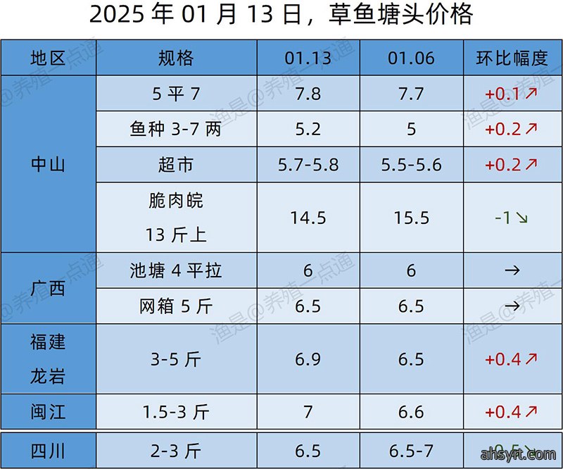 【渔是特约】2025.01.13，草鱼、黄颡鱼、罗非鱼、斑点叉尾鮰塘头价格