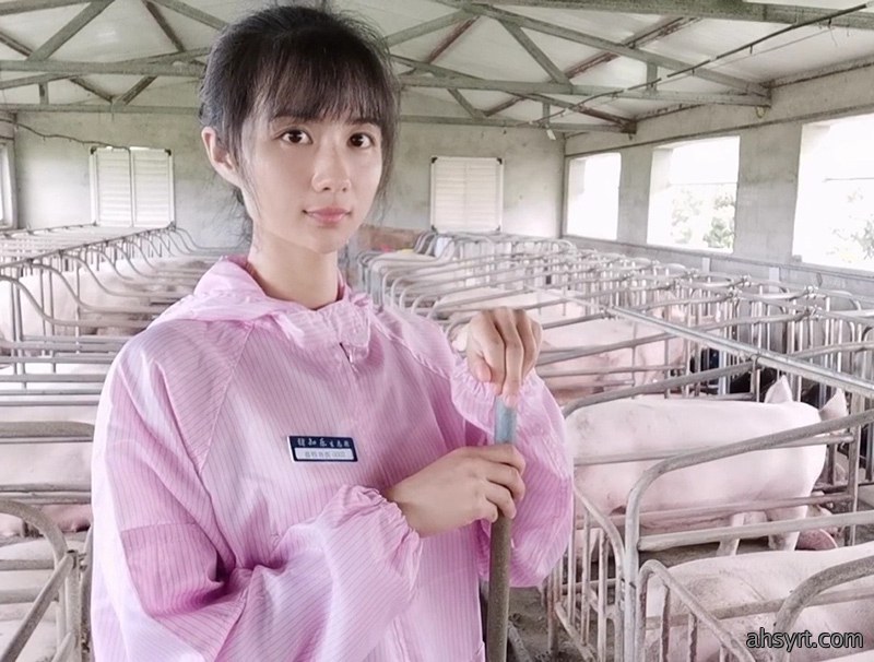 Mysteel解读：生猪行业变局之路，舍小保大？