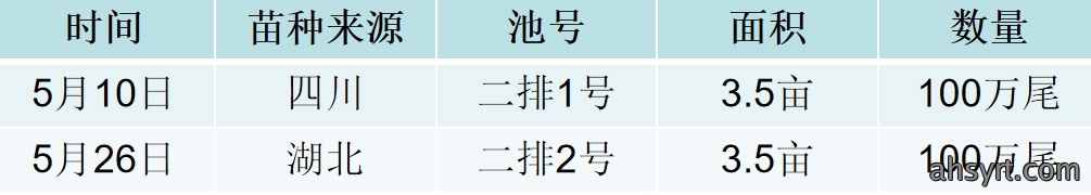 鮰鱼苗大棚养殖效果对比分析，疫病从苗种抓起