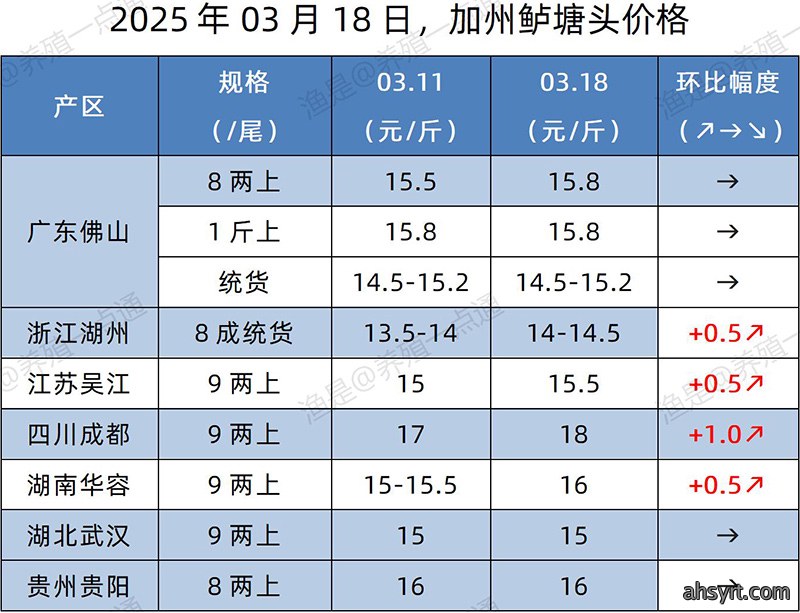 【渔是特约】2025.03.18，加州鲈、生鱼、黄颡鱼、江团塘头价格