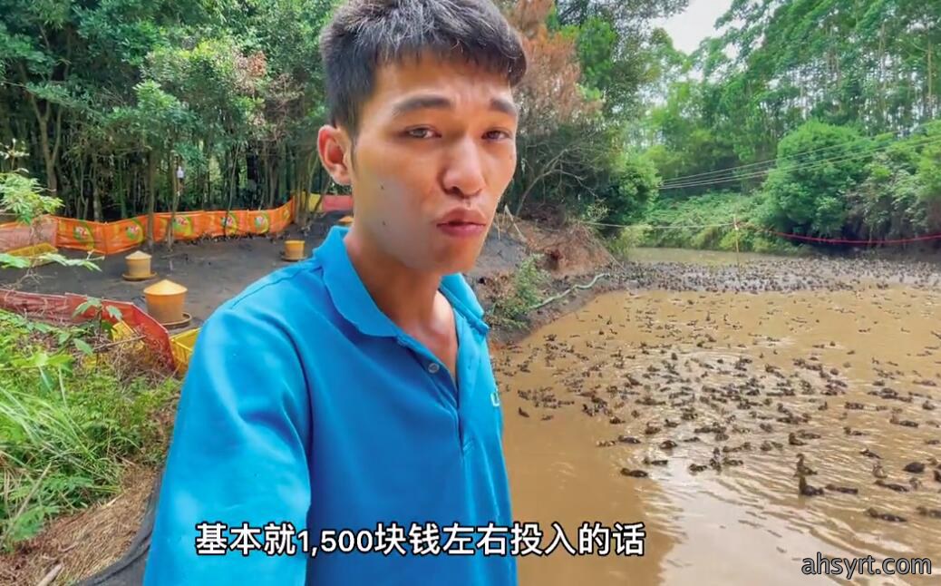 养鸭