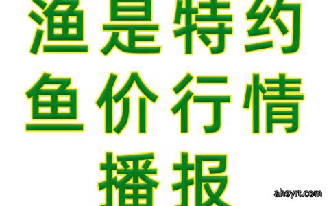 渔是特约鱼价行情播报
