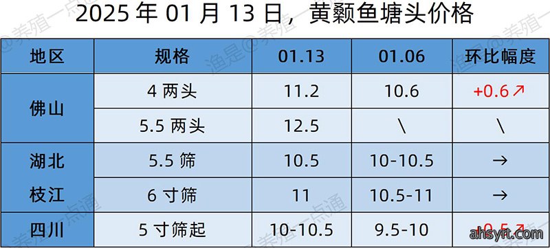 【渔是特约】2025.01.13，草鱼、黄颡鱼、罗非鱼、斑点叉尾鮰塘头价格