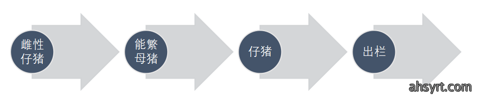 猪周期未来怎么走？看历史，或将二次探底？