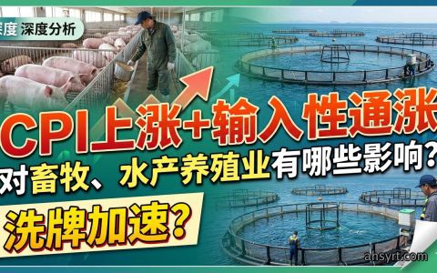 CPI上涨+输入性通涨