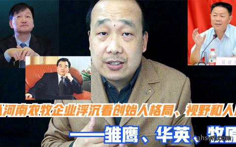 从河南农牧企业看创始人格局、人脉——雏鹰、华英、牧原