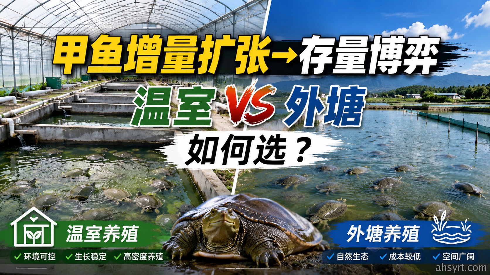 甲鱼增量扩张→存量博弈
