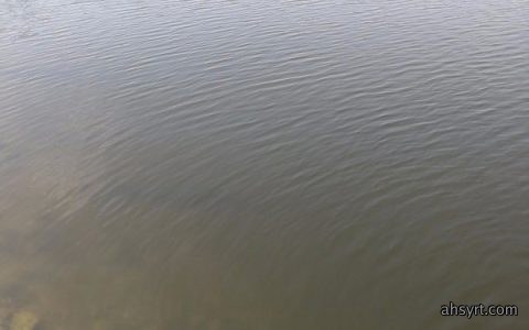 表面活性剂增加水体溶解氧