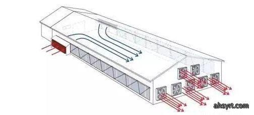 猪舍建造七点注意，降低成本穿越猪周期