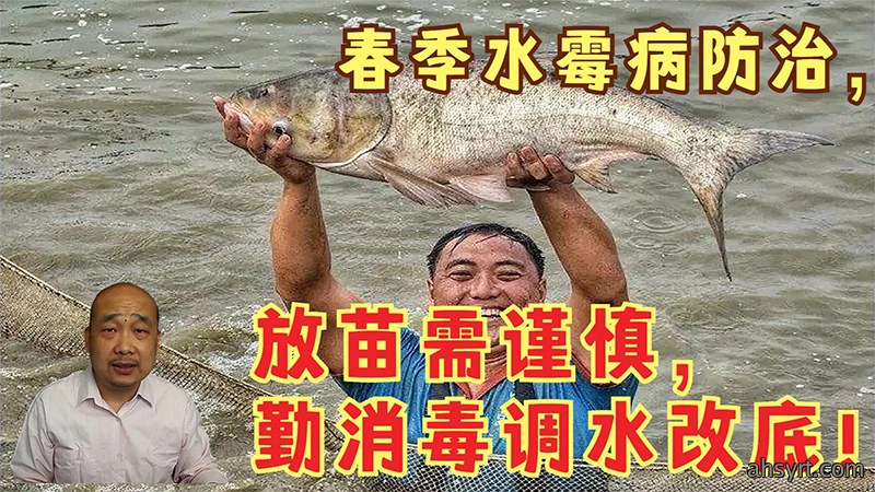 鱼病防治