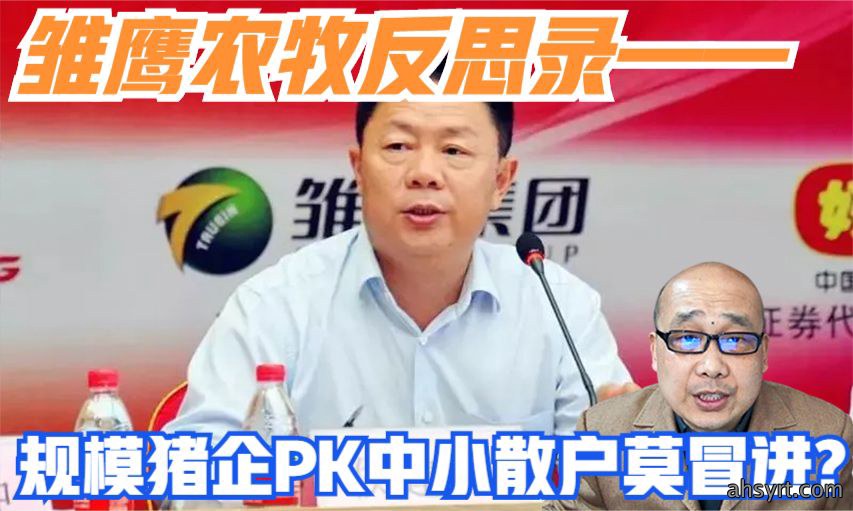 雏鹰农牧反思录——规模猪企PK中小散户莫冒进