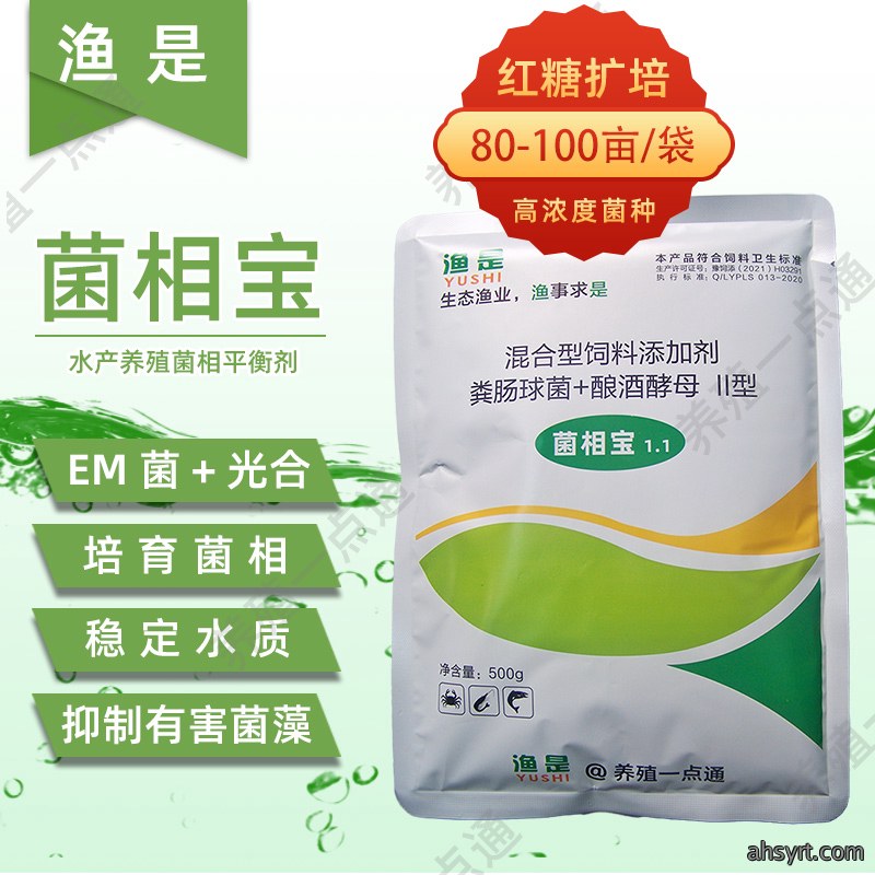 脆肉鲩利润翻数倍，草鱼脆化关键——饲料