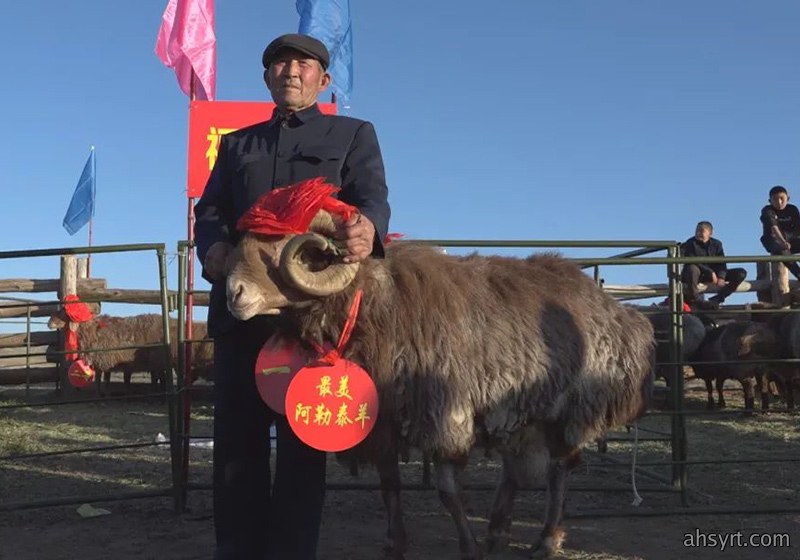 羊种大全