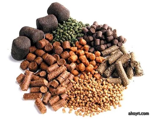 饲料涨价