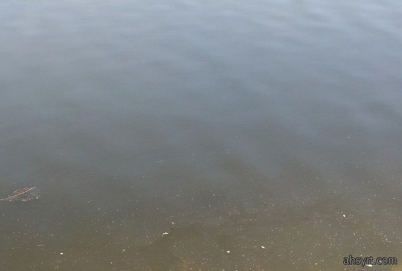 水体溶氧度显著增加，表面活性剂抢救浮头立杆见影