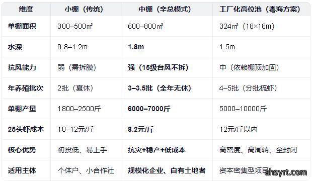 中棚虾🦐养殖模式简介，PK小棚、工厂化高位池优劣比较