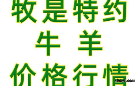 【牧是：猪评+鸡评】2024.02.26，短期利好提振，猪价或补涨；蛋价、肉鸡、鸡苗跌，淘鸡稳