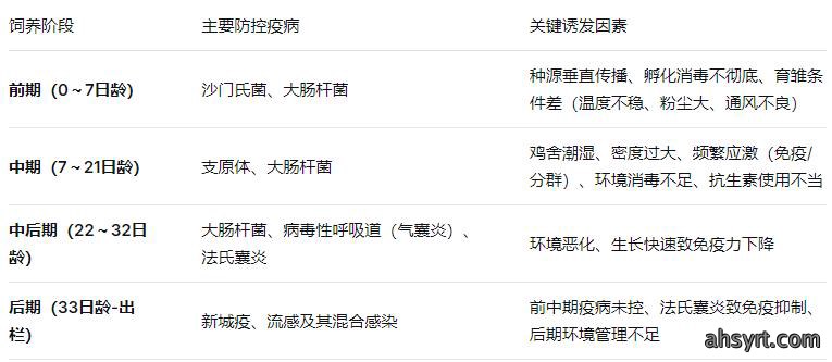 肉鸡养殖全周期疫病防控和科学用药策略
