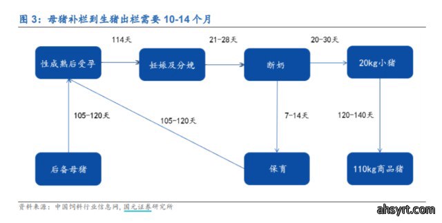 猪周期行至何处？左侧布局良机是否到来？