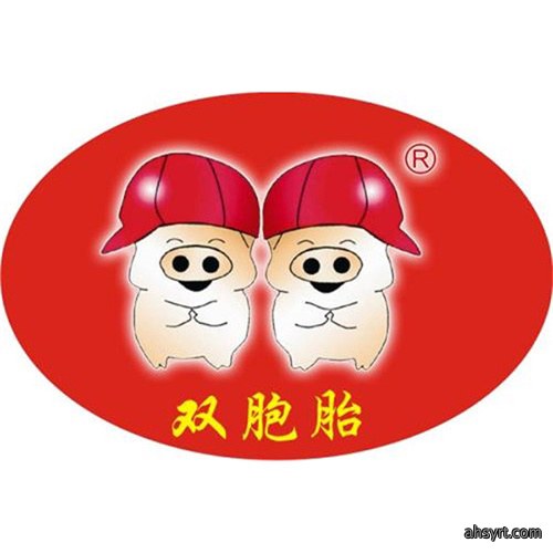 双胞胎的头像